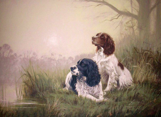 Springer spaniel sales art